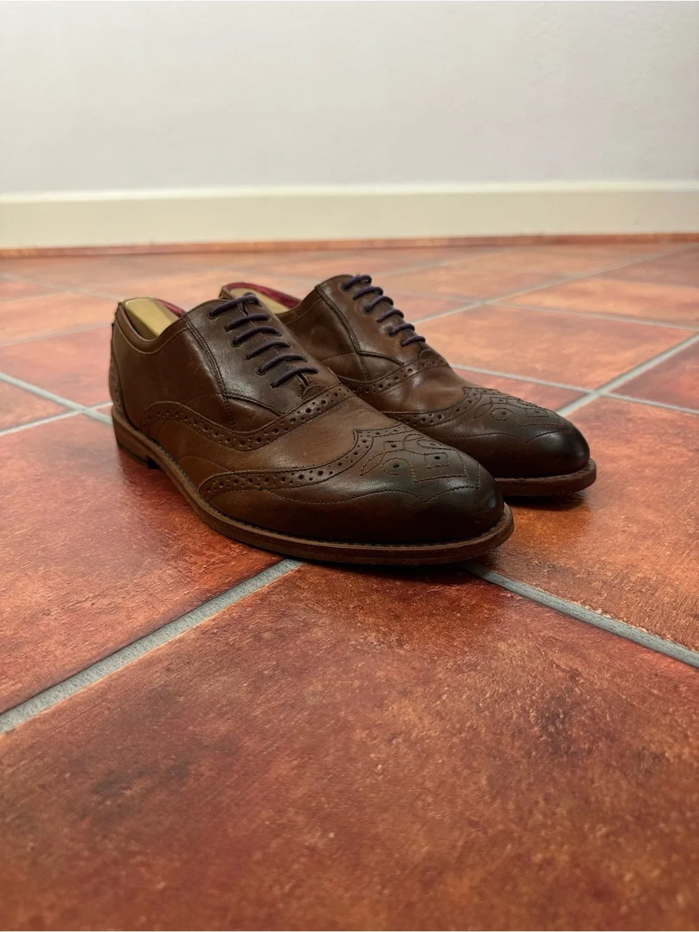 Ted Baker Men's Wingtip Leather Derbys with Brogue Detail and Pink Interior